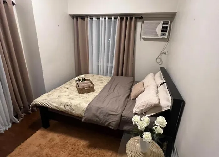 The Cozy Peony
